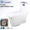 Blue diamond one piece Sanitary Ware model FH1861 dual system (press top)