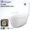 Blue diamond one piece Sanitary Ware model FH1862 dual system(press top)