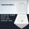 Blue diamond one piece Sanitary Ware model FH1863 dual system(press top)