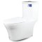 Blue diamond one piece Sanitary Ware model FH1864 dual system (press top)