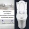 Blue diamond one piece Sanitary Ware model FH1864 dual system (press top)