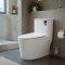 Blue diamond one piece Sanitary Ware model FH1866S single flush (press on side)