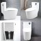 Blue diamond one piece Sanitary Ware model FH1866S single flush (press on side)