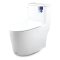 Blue diamond one piece Sanitary Ware model FH1866S single flush (press on side)