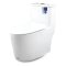 Blue diamond one piece Sanitary Ware model FH1866T dual system(press top)