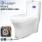 Blue diamond one piece Sanitary Ware model FH1871 dual system (press top)