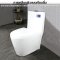 Blue diamond one piece Sanitary Ware model FH1872 dual system (press top)