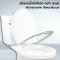 Blue diamond Two piece toilet Model FH 2411S single flush(press on side)