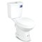 Blue diamond Two piece toilet Model FH 2411T dual system(press top)