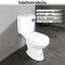 Blue diamond Two piece toilet Model FH 2411T dual system(press top)