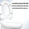 Blue diamond Two piece toilet Model FH 2411T dual system(press top)