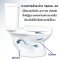 Blue diamond Two piece toilet Model FH 2411T dual system(press top)