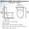 Blue diamond Two piece toilet Model FH 2411T dual system(press top)