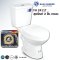 Blue diamond Two piece toilet Model FH 2411T dual system(press top)