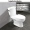 Blue diamond Two piece toilet Model FH 2422S single flush(press on side)