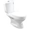 Blue diamond Two piece toilet Model FH 2422T dual system(press top)