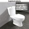 Blue diamond Two piece toilet Model FH 2422T dual system(press top)