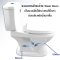 Blue diamond Two piece toilet Model FH 2422T dual system(press top)