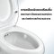 Blue diamond Two piece toilet Model FH 2462T dual system(press top)