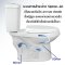 Blue diamond Two piece toilet Model FH 2462T dual system(press top)