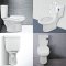 Blue diamond Two piece toilet Model FH 2462T dual system(press top)