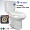 Blue diamond Two piece toilet Model FH 2462T dual system(press top)