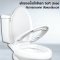 Blue diamond Two piece toilet model FH 2463S single flush(press on side)