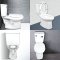 Blue diamond Two piece toilet model FH 2463S single flush(press on side)