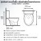 Blue diamond Two piece toilet model FH 2463S single flush(press on side)