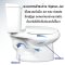 Blue diamond Two piece toilet Model FH 2463T dual system(press top)