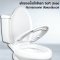 Blue diamond Two piece toilet Model FH 2463T dual system(press top)