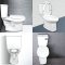 Blue diamond Two piece toilet Model FH 2463T dual system(press top)