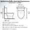 Blue diamond Two piece toilet Model FH 2463T dual system(press top)