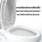Blue diamond Two piece toilet Model FH 2466T dual system(press top)