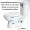 Blue diamond Two piece toilet Model FH 2466T dual system(press top)