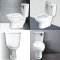 Blue diamond Two piece toilet Model FH 2466T dual system(press top)