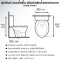 Blue diamond Two piece toilet Model FH 2466T dual system(press top)