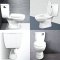 Blue diamond Two piece toilet Model FH 2481S single flush(press on side)