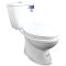 Blue diamond Two piece toilet Model FH 2481T dual system(press top)