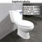 Blue diamond Two piece toilet Model FH 2481T dual system(press top)