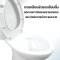 Blue diamond Two piece toilet Model FH 2481T dual system(press top)