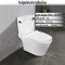 Blue diamond Two piece toilet Model FH 2571S single flush(press on side)