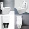 Blue diamond Two piece toilet Model FH 2571S single flush(press on side)