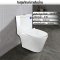 Blue diamond Two piece toilet Model FH 2571T dual system(press top)