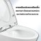 Blue diamond Two piece toilet Model FH 2571T dual system(press top)