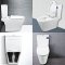 Blue diamond Two piece toilet Model FH 2571T dual system(press top)