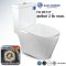 Blue diamond Two piece toilet Model FH 2571T dual system(press top)