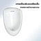 Blue diamond, Wall hung Urinal, model FH5100