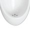 Blue diamond, Wall hung Urinal, model FH5100
