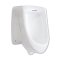 Blue diamond, Wall hung Urinal, model FH5100